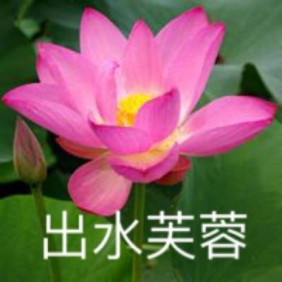 仙诀ol小米版下载