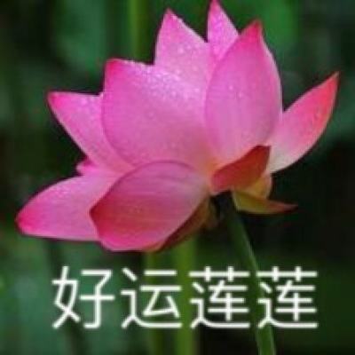 派对大乱斗鲤鱼解说游戏下载